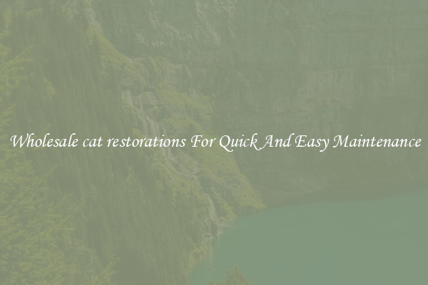 Wholesale cat restorations For Quick And Easy Maintenance