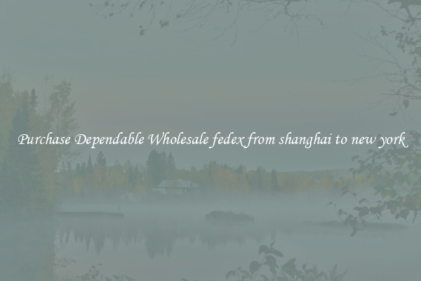 Purchase Dependable Wholesale fedex from shanghai to new york
