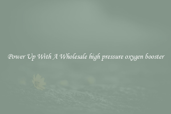 Power Up With A Wholesale high pressure oxygen booster