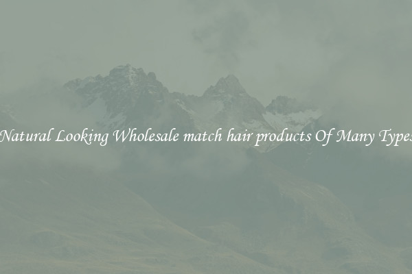 Natural Looking Wholesale match hair products Of Many Types