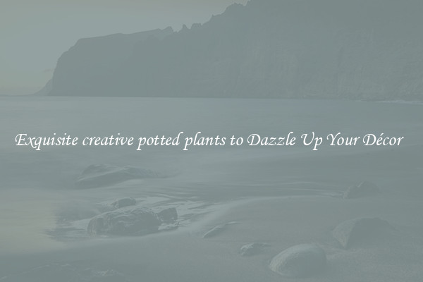 Exquisite creative potted plants to Dazzle Up Your Décor  