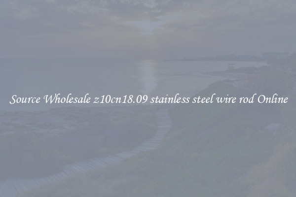 Source Wholesale z10cn18.09 stainless steel wire rod Online