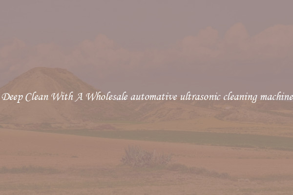 Deep Clean With A Wholesale automative ultrasonic cleaning machine