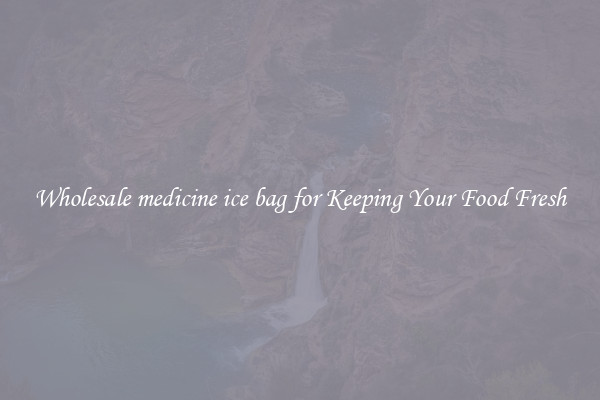 Wholesale medicine ice bag for Keeping Your Food Fresh