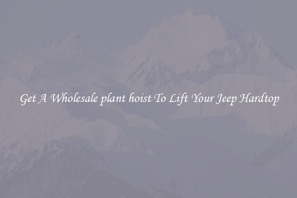 Get A Wholesale plant hoist To Lift Your Jeep Hardtop