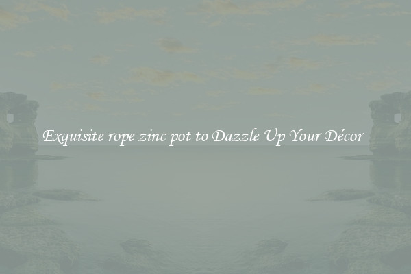 Exquisite rope zinc pot to Dazzle Up Your Décor  