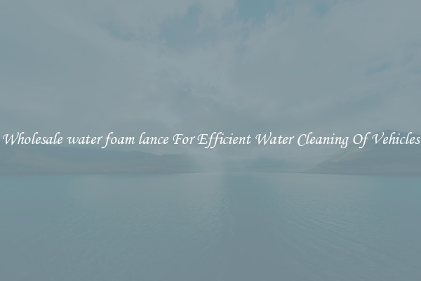 Wholesale water foam lance For Efficient Water Cleaning Of Vehicles