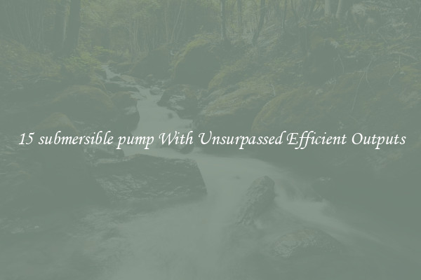 15 submersible pump With Unsurpassed Efficient Outputs