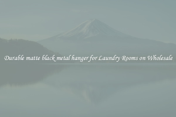 Durable matte black metal hanger for Laundry Rooms on Wholesale