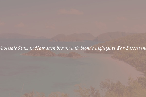 Wholesale Human Hair dark brown hair blonde highlights For Discreteness