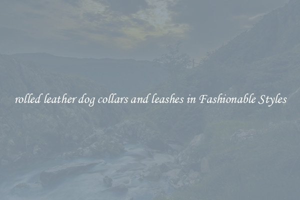 rolled leather dog collars and leashes in Fashionable Styles