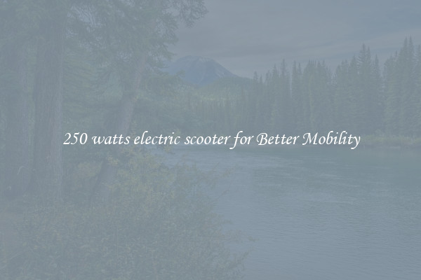 250 watts electric scooter for Better Mobility