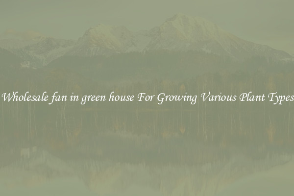 Wholesale fan in green house For Growing Various Plant Types
