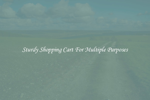 Sturdy Shopping Cart For Multiple Purposes