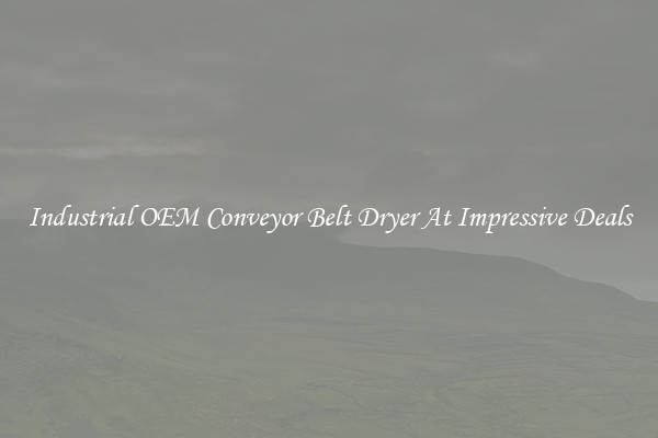 Industrial OEM Conveyor Belt Dryer At Impressive Deals