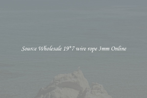 Source Wholesale 19*7 wire rope 3mm Online
