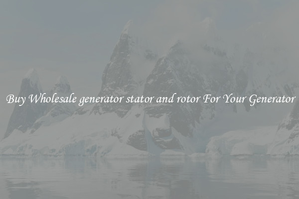 Buy Wholesale generator stator and rotor For Your Generator