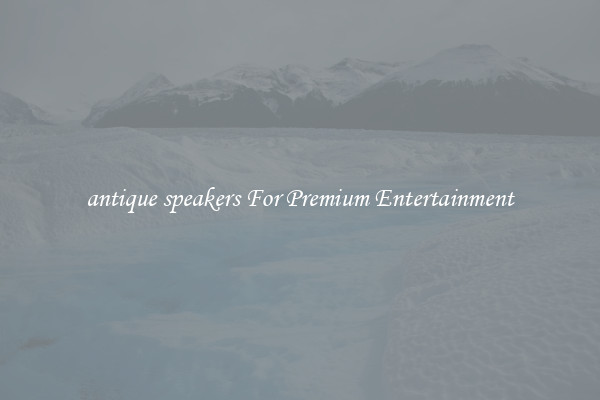 antique speakers For Premium Entertainment