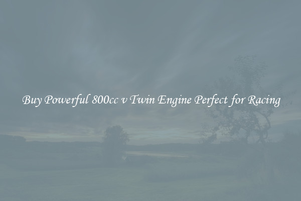 Buy Powerful 800cc v Twin Engine Perfect for Racing