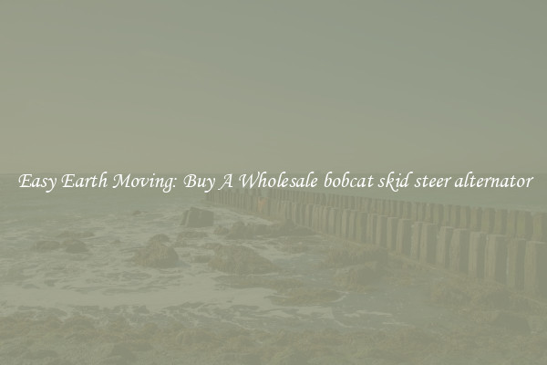Easy Earth Moving: Buy A Wholesale bobcat skid steer alternator